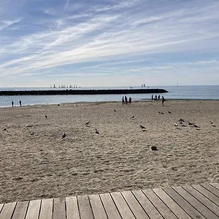Apartament T2, Animaux Admis - 4 Pers., Proche - Fr-1-880-3